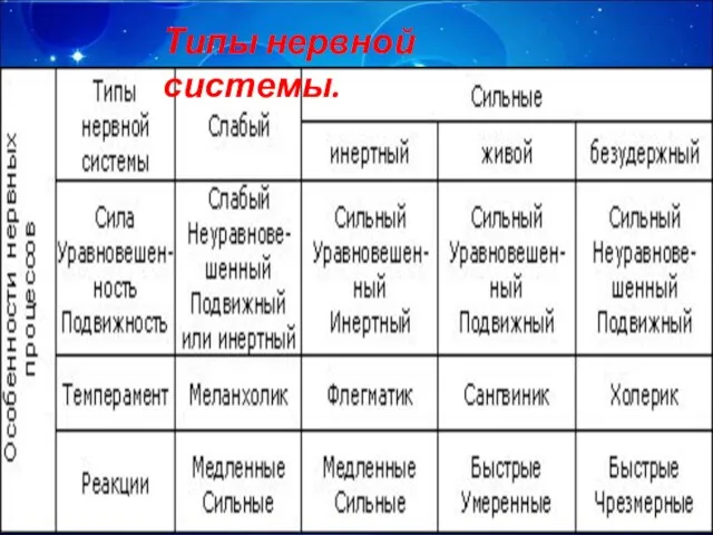 Типы нервной системы.