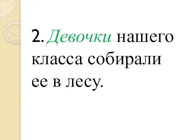 2. Девочки нашего класса собирали ее в лесу.