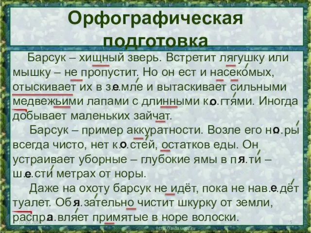 Орфографическая подготовка Барсук – хищный зверь. Встретит лягушку или мышку – не