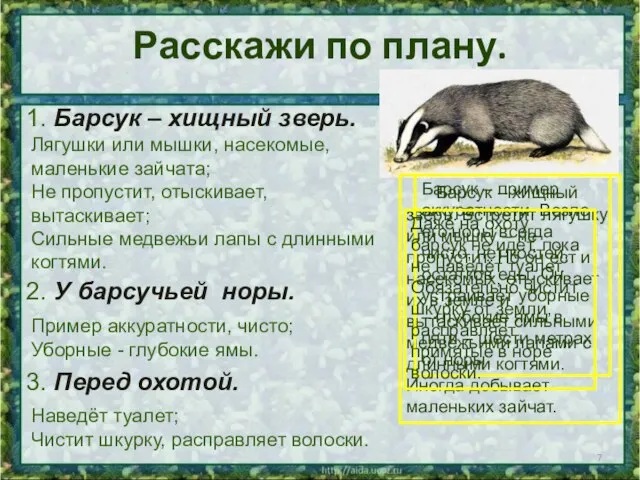 Расскажи по плану. 1. Барсук – хищный зверь. 2. У барсучьей норы.