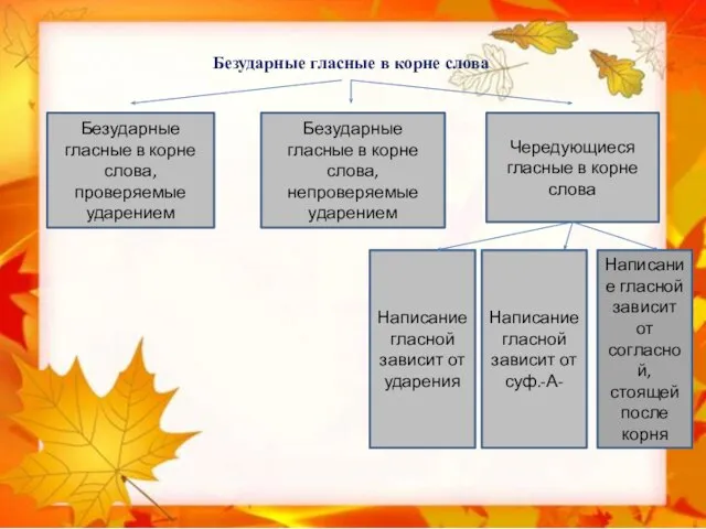 Безударные гласные в корне слова Безударные гласные в корне слова, проверяемые ударением