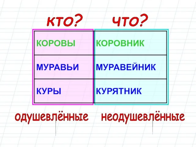 что? кто? неодушевлённые одушевлённые