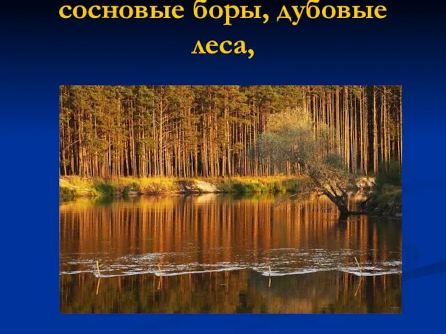 сосновые боры, дубовые леса,