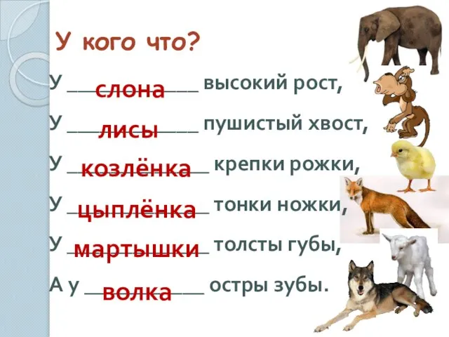 У кого что? У ____________ высокий рост, У ____________ пушистый хвост, У