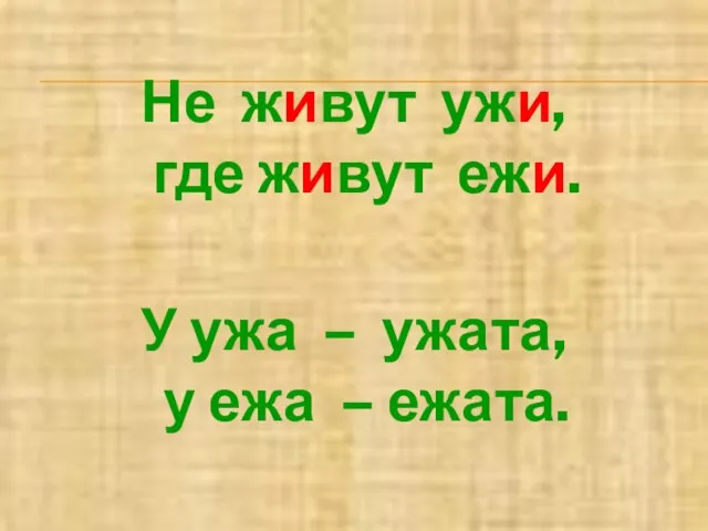 Не живут ужи, где живут ежи. У ужа – ужата, у ежа – ежата.