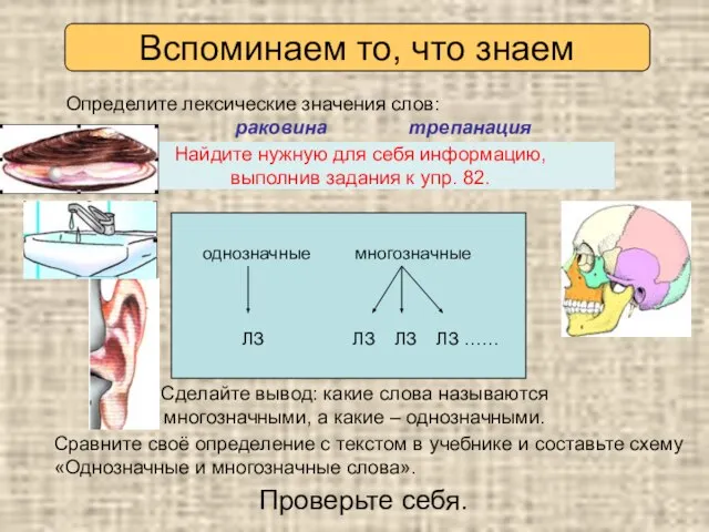 Раковина Трепанация 1) 1) 2) 3) 4) Определите лексические значения слов: раковина