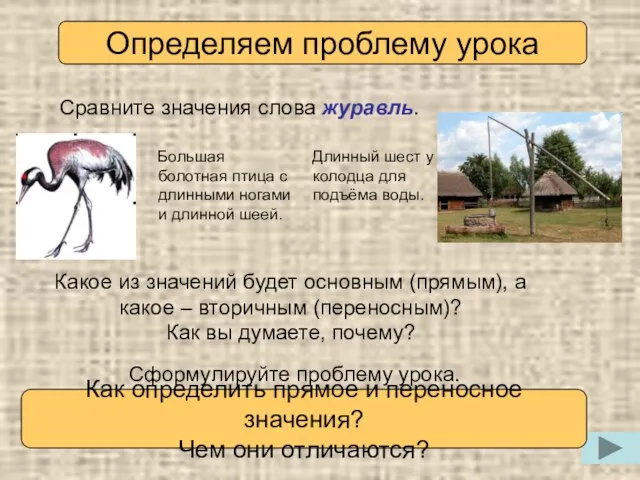 Большая болотная птица с длинными ногами и длинной шеей. Сравните значения слова