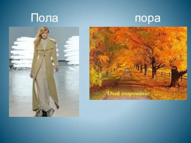 Пола пора