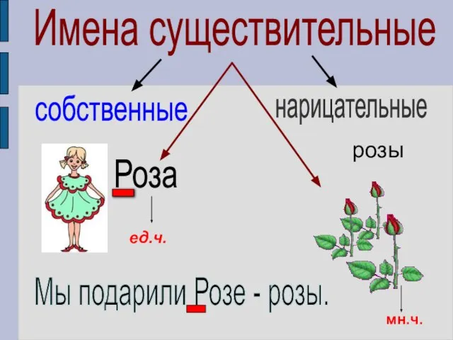 Имена существительные собственные нарицательные Роза . Мы подарили Розе - розы. . розы ед.ч. мн.ч.