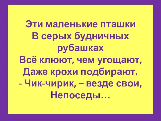 Эти маленькие пташки В серых будничных рубашках Всё клюют, чем угощают, Даже