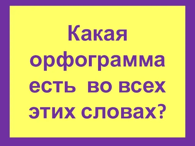 Какая орфограмма есть во всех этих словах?