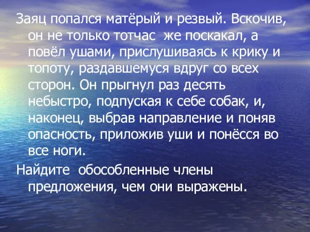 Заяц попался матёрый и резвый. Вскочив, он не только тотчас же поскакал,