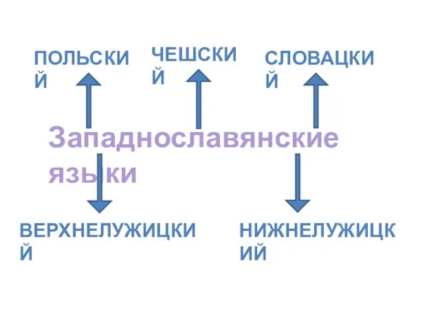 Западнославянские языки ПОЛЬСКИЙ ЧЕШСКИЙ СЛОВАЦКИЙ ВЕРХНЕЛУЖИЦКИЙ НИЖНЕЛУЖИЦКИЙ