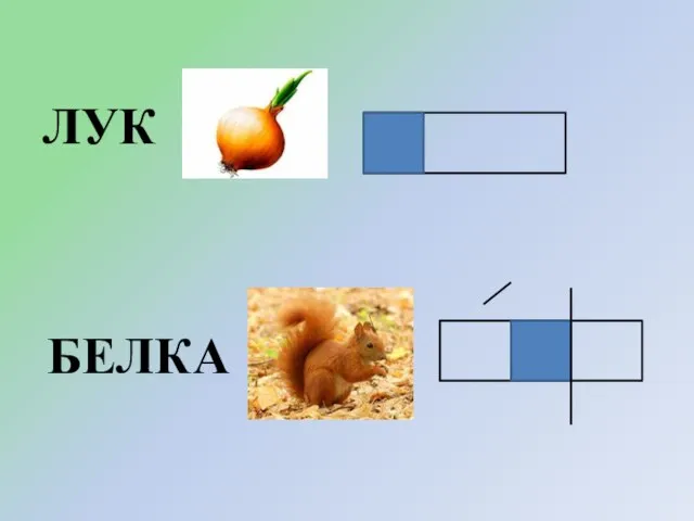 ЛУК БЕЛКА