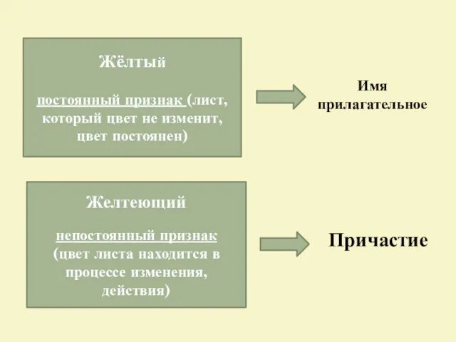 Жёлтый постоянный признак (лист, который цвет не изменит, цвет постоянен) Желтеющий непостоянный