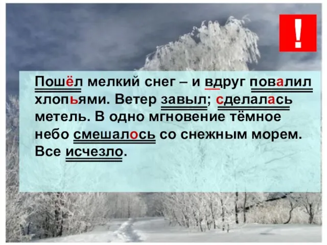 Пошёл мелкий снег – и вдруг повалил хлопьями. Ветер завыл; сделалась метель.