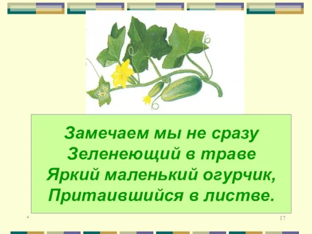 * Замечаем мы не сразу Зеленеющий в траве Яркий маленький огурчик, Притаившийся в листве.