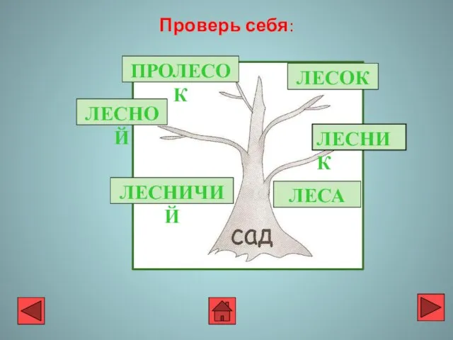 Проверь себя: ЛЕСНИК ЛЕСА К ЛЕСОК ПРОЛЕСОК ЛЕСНОЙ ЛЕСНИЧИЙ