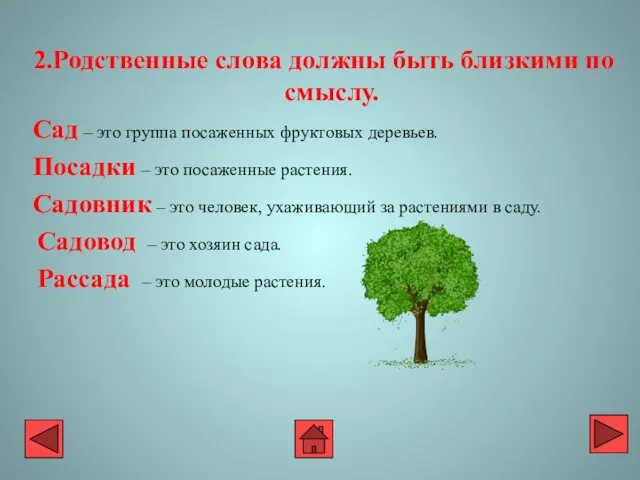 2.Родственные слова должны быть близкими по смыслу. Сад – это группа посаженных