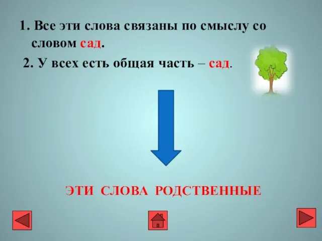 1. Все эти слова связаны по смыслу со словом сад. 2. У