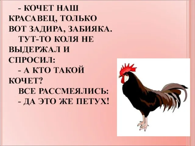 - КОЧЕТ НАШ КРАСАВЕЦ, ТОЛЬКО ВОТ ЗАДИРА, ЗАБИЯКА. ТУТ-ТО КОЛЯ НЕ ВЫДЕРЖАЛ