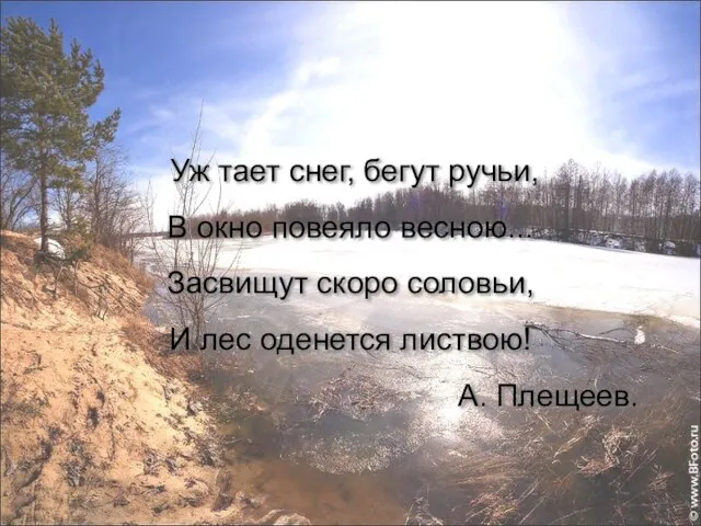 Уж тает снег, бегут ручьи, В окно повеяло весною... Засвищут скоро соловьи,