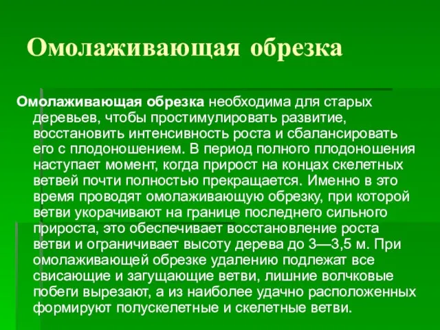 Омолаживающая обрезка Омолаживающая обрезка необходима для старых деревьев, чтобы простимулировать развитие, восстановить