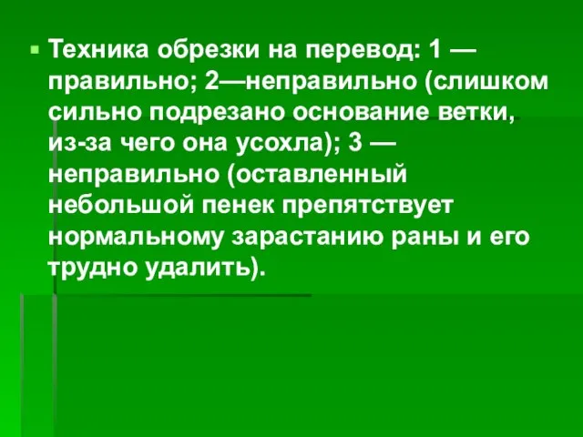 Техника обрезки на перевод: 1 — правильно; 2—неправильно (слишком сильно подрезано основание