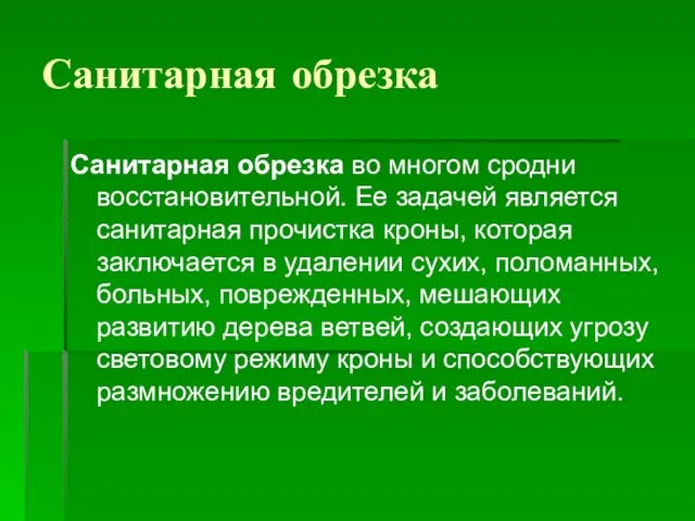 Санитарная обрезка Санитарная обрезка во многом сродни восстановительной. Ее задачей является санитарная