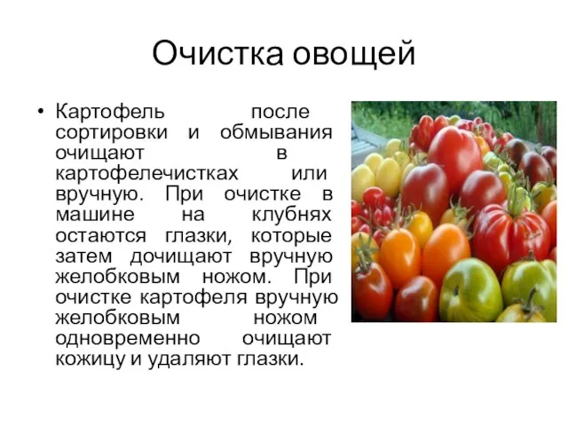 Очистка овощей Картофель после сортировки и обмывания очищают в картофелечистках или вручную.