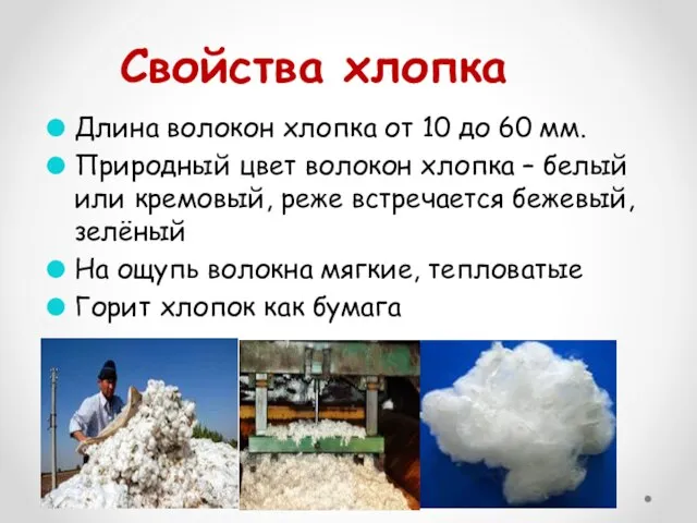 Свойства хлопка Длина волокон хлопка от 10 до 60 мм. Природный цвет