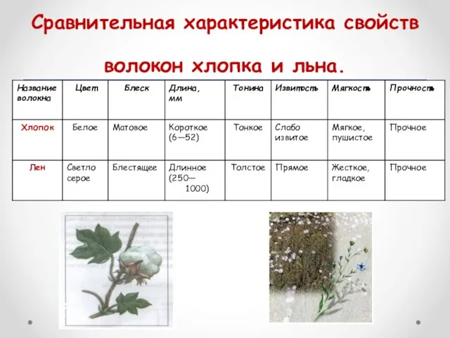 Сравнительная характеристика свойств волокон хлопка и льна.