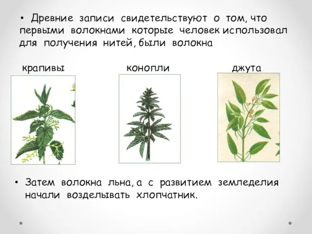 Древние записи свидетельствуют о том, что первыми волокнами которые человек использовал для