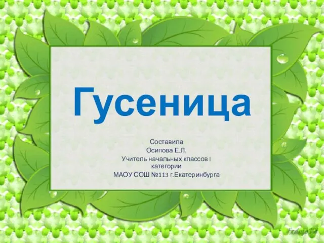 Гусеница Составила Осипова Е.Л. Учитель начальных классов I категории МАОУ СОШ №113 г.Екатеринбурга