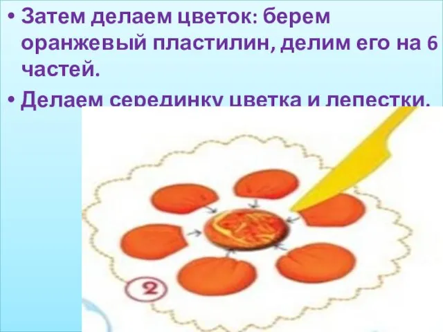 Затем делаем цветок: берем оранжевый пластилин, делим его на 6 частей. Делаем серединку цветка и лепестки.