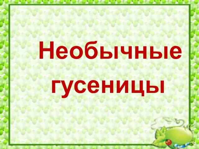 Необычные гусеницы