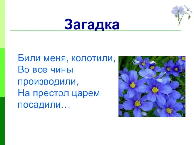 Загадка Били меня, колотили, Во все чины производили, На престол царем посадили…