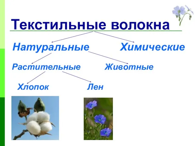 Текстильные волокна Натуральные Химические Растительные Животные Хлопок Лен