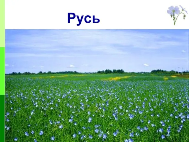 Русь