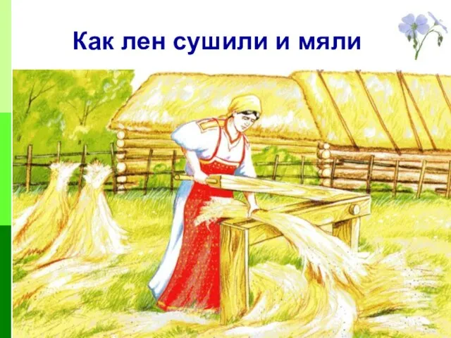 Как лен сушили и мяли