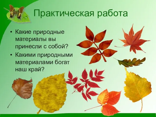 Какие природные материалы вы принесли с собой? Какими природными материалами богат наш край? Практическая работа