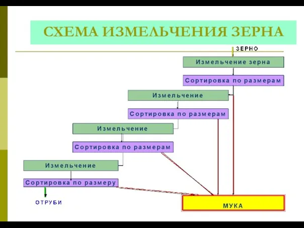 СХЕМА ИЗМЕЛЬЧЕНИЯ ЗЕРНА