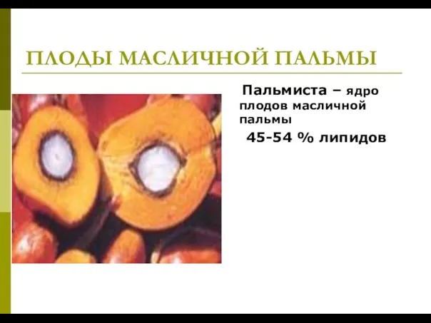 ПЛОДЫ МАСЛИЧНОЙ ПАЛЬМЫ Пальмиста – ядро плодов масличной пальмы 45-54 % липидов