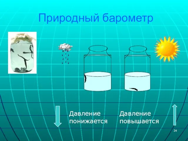 Природный барометр Давление понижается Давление повышается