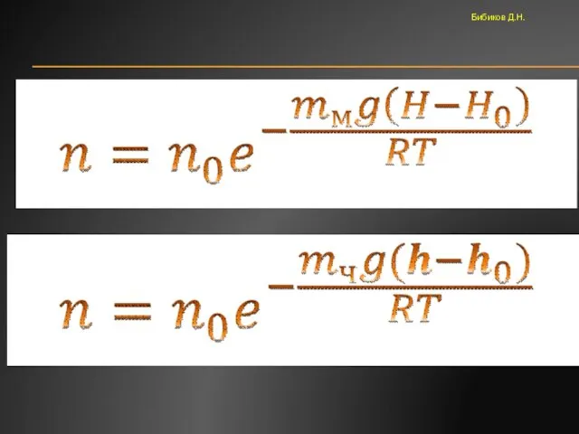 Бибиков Д.Н.