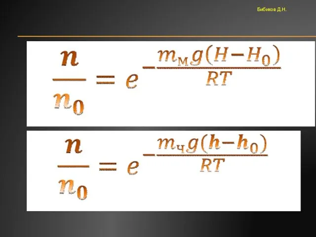 Бибиков Д.Н.