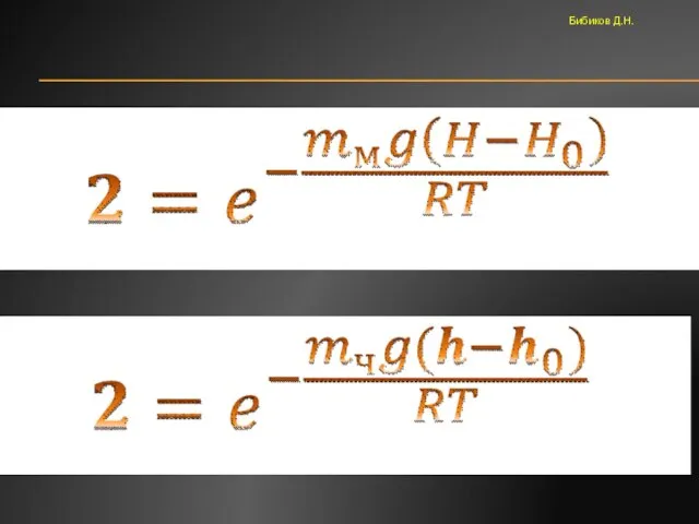 Бибиков Д.Н.