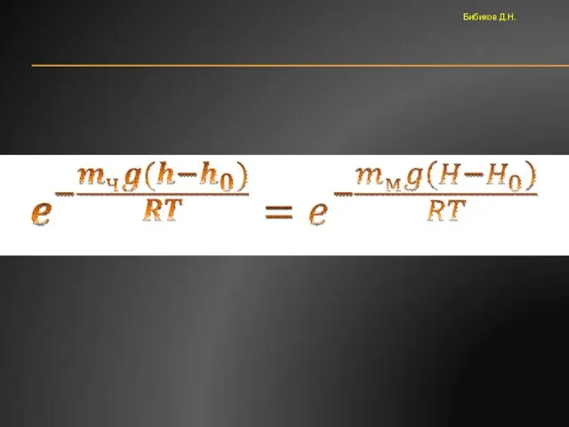 Бибиков Д.Н.