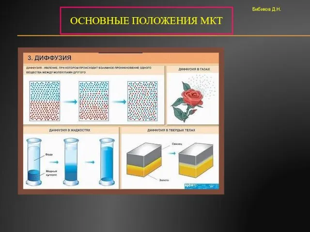 ОСНОВНЫЕ ПОЛОЖЕНИЯ МКТ Бибиков Д.Н.