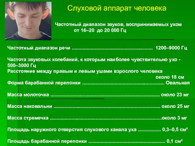 Слуховой аппарат человека Частотный диапазон звуков, воспринимаемых ухом от 16–20 до 20